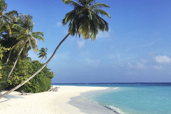 Sri Lanka Malediven Rundreise 