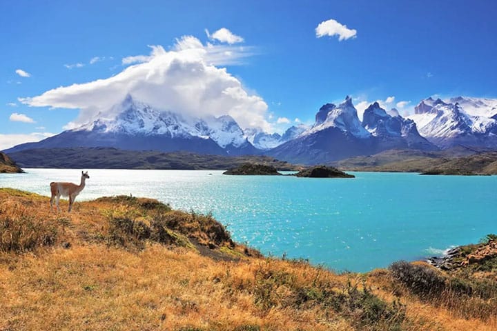 Chile Roadtrip Deal