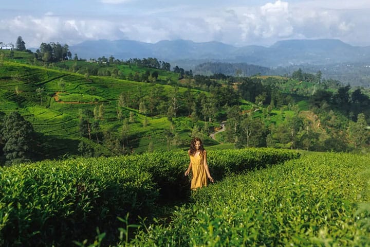 Sri Lanka Malediven Reise